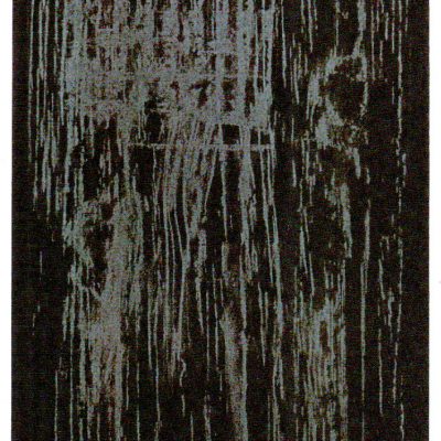 Suite au bois. Estampe, eau-forte sur japon préparé, 2001-2002, 29,5x21 cm.