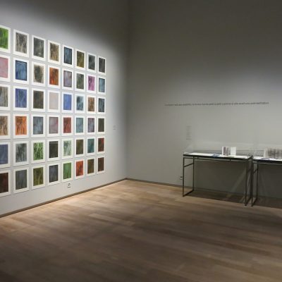 Suite au bois. 48 estampes, eau-forte sur japon préparé, 2001-2002, 29,5x21 cm chacune.