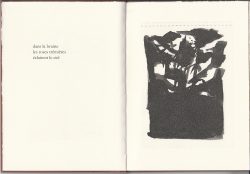 Fuji caché. Encres. Haïkus de Bashō. Editions Couleurs d’encre, Lausanne, 2020.